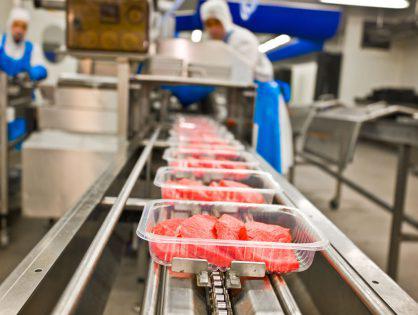 Пищевая промышленность